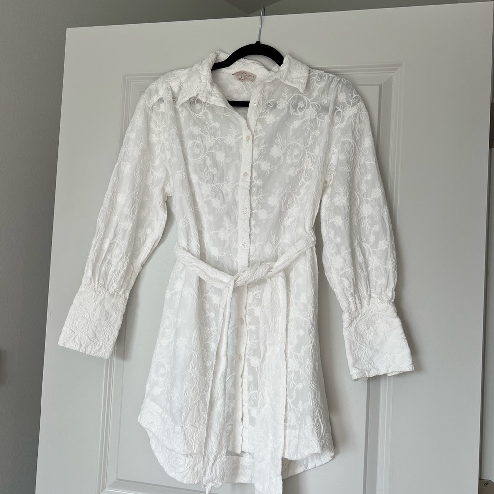 Elegant White embroidered Mini Dress